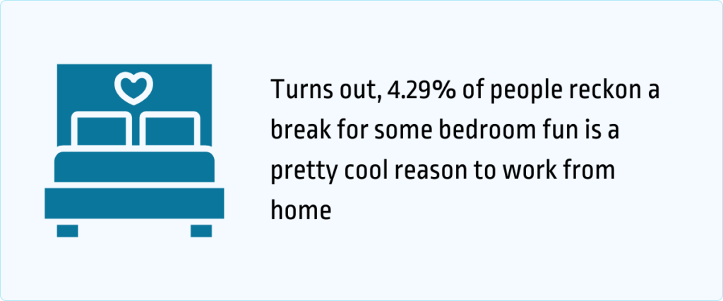 4.29% of people reckon a break for some bedroom fun is a pretty cool reason to work from home