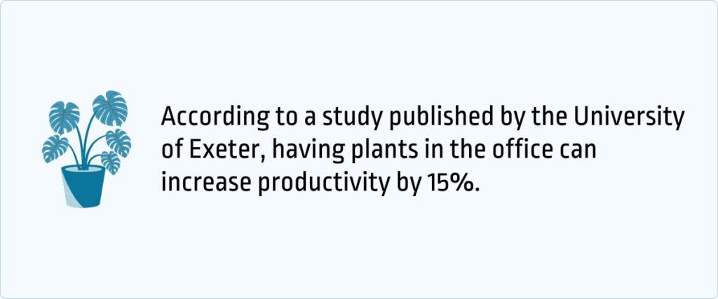 plants in office